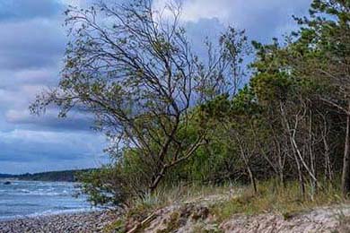 TI11冠军揭晓，战队辉煌夺冠，ti11全球总决赛