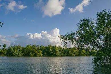 TI11冠军揭晓，战队辉煌夺冠，ti11全球总决赛